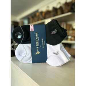 POLO ANCLE SOCK  10 PAIRS