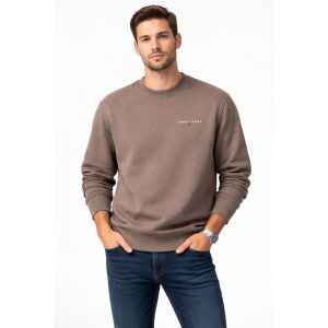TJM SWEATSHIRT LINEAR CREW WALNUT