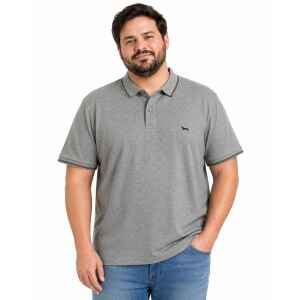 H&B GRAY POLO SHIRT BROW/NAVY LINES